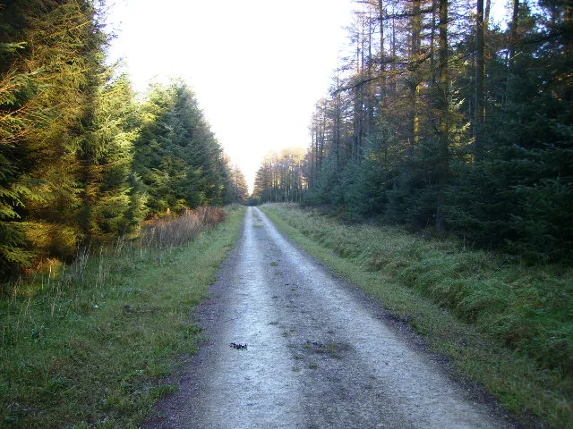 Dalby Forest