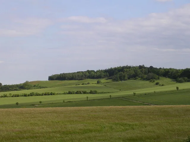 Damerham Knoll