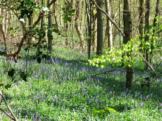 Dancersend Nature Reserve