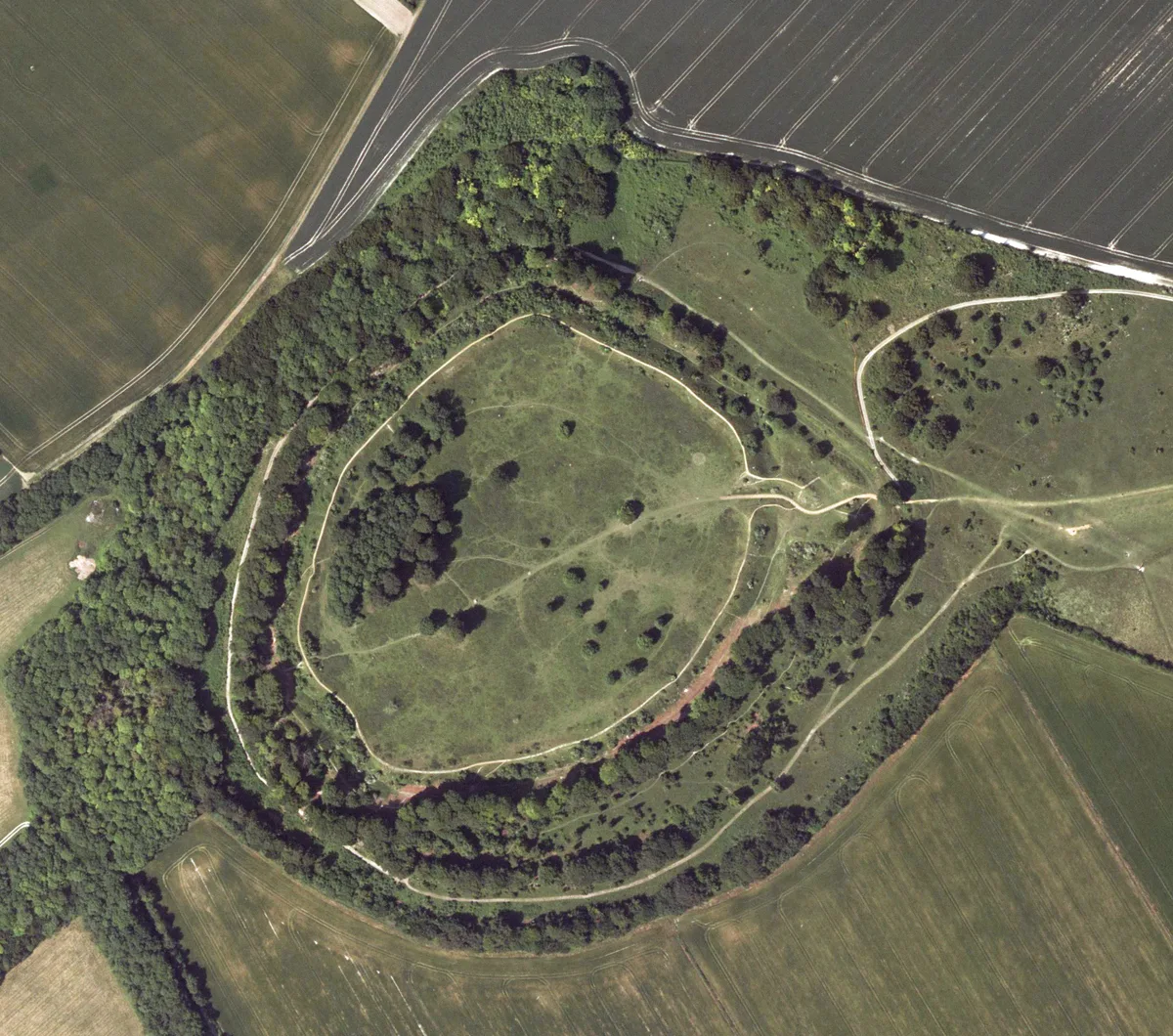 Danebury Hill Camp