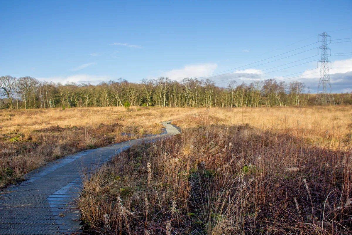 Danes Moss Nature Reserve