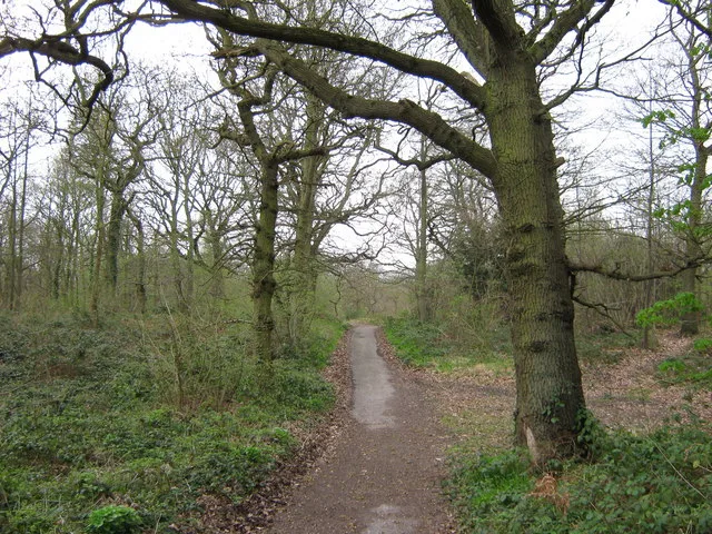 Darenth Wood