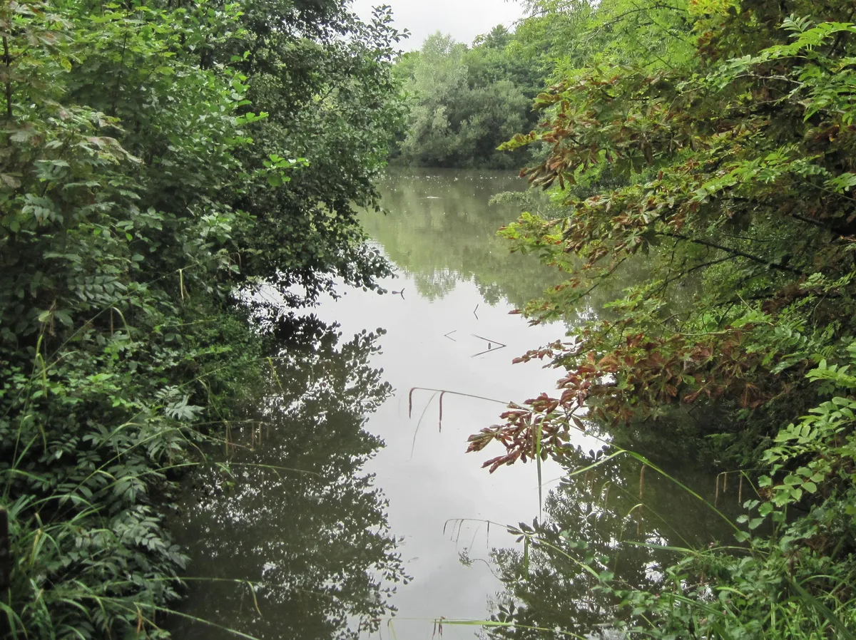 Darland's Lake