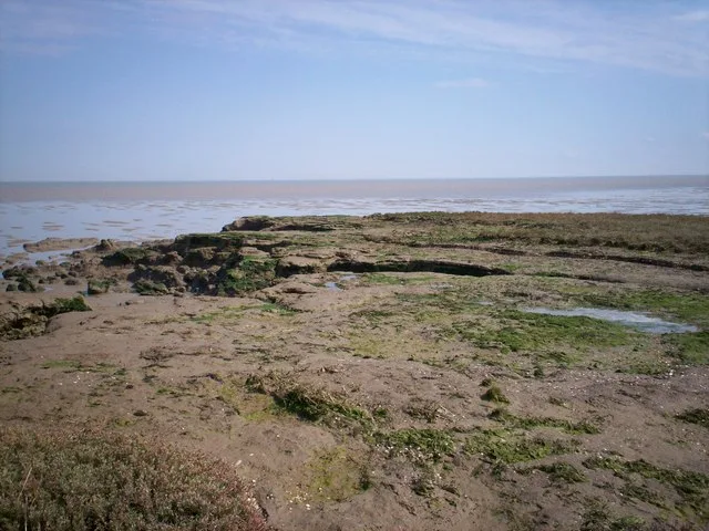 Dengie SPA