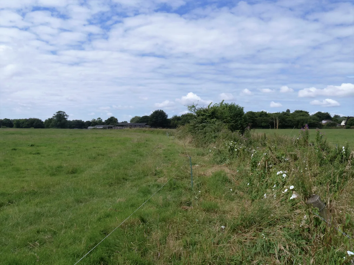 Deserted medieval village E of Manor Farm