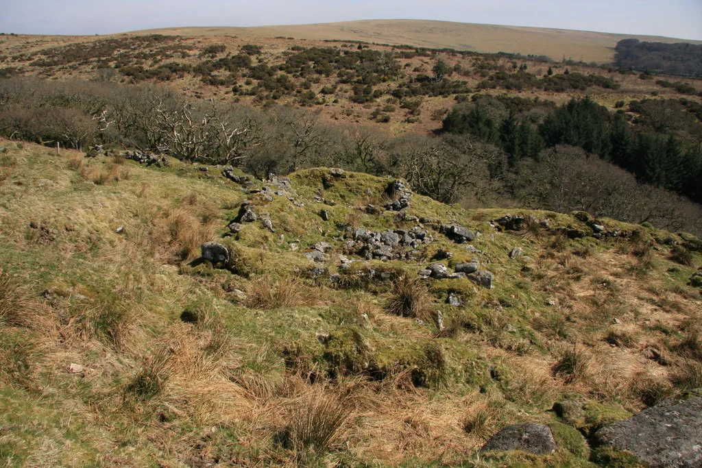 Deserted post-medieval farmstead and part of the surrounding field system at High House Waste