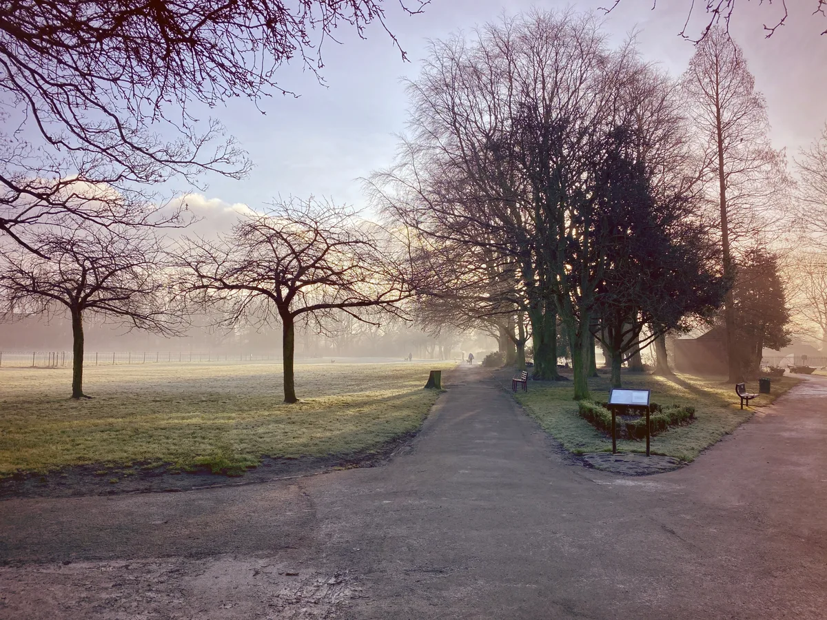 Didsbury Park