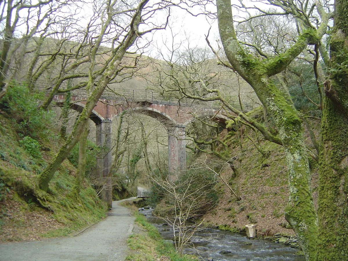 Dolgoch Viaduct