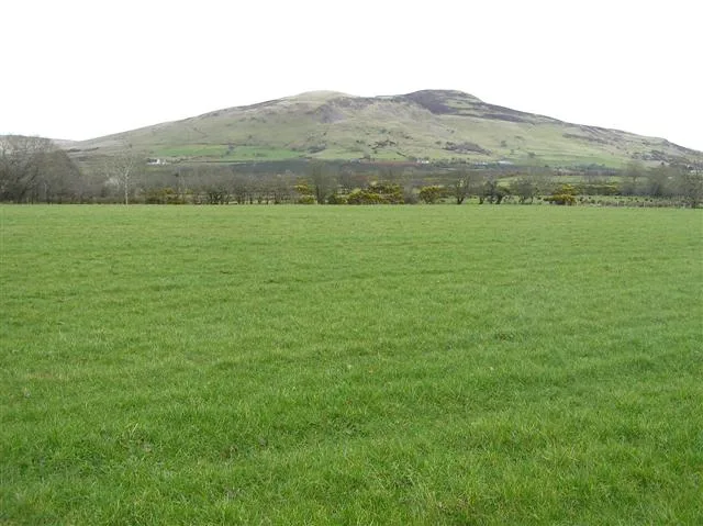 Donald's Hill