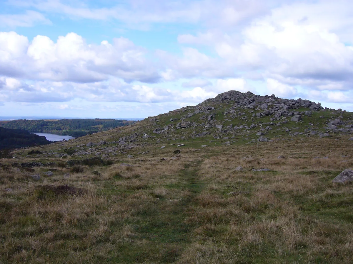 Down Tor
