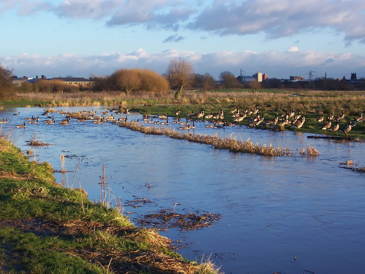 Doxey Marshes