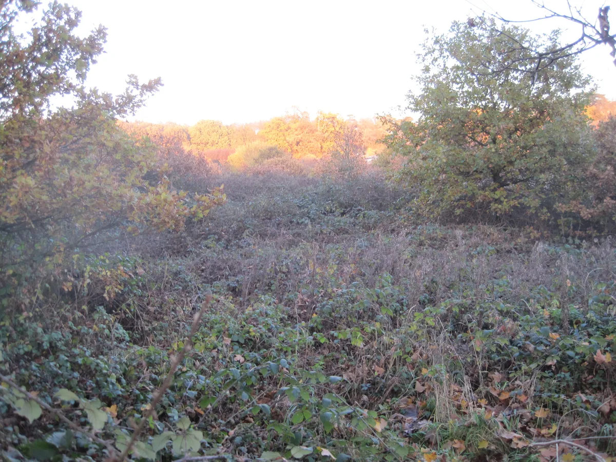 Drivers Hill