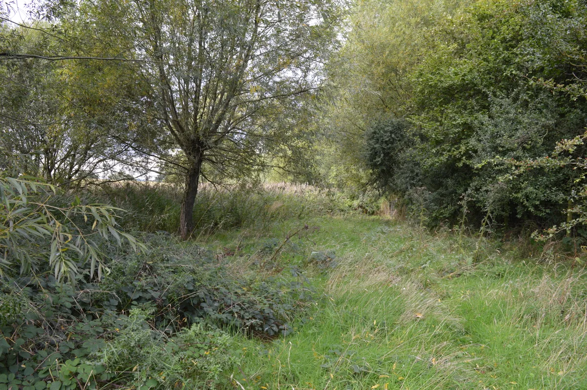 Dropshort Marsh