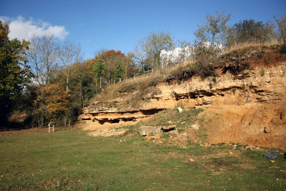 Dry Sandford Pit