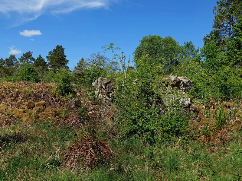 Dundeugh Castle