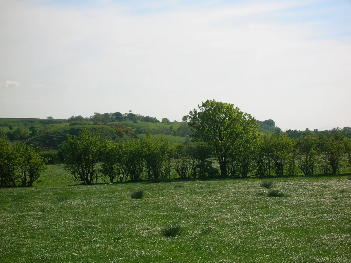 Dunlop Castle
