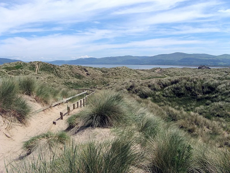 Dyfi National Nature Reserve