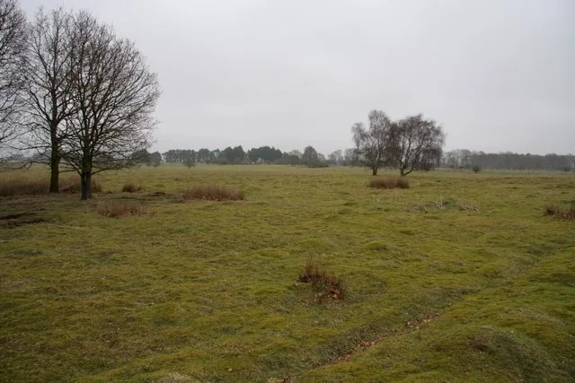 East Wretham Heath