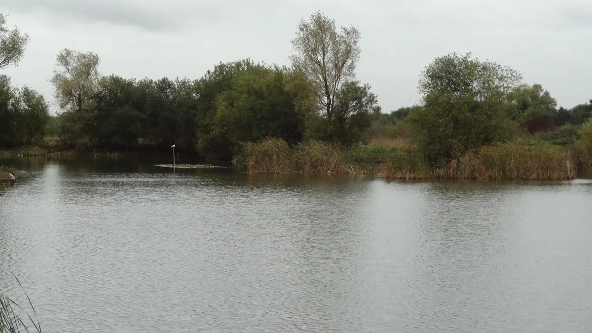 Eastbrookend Country Park