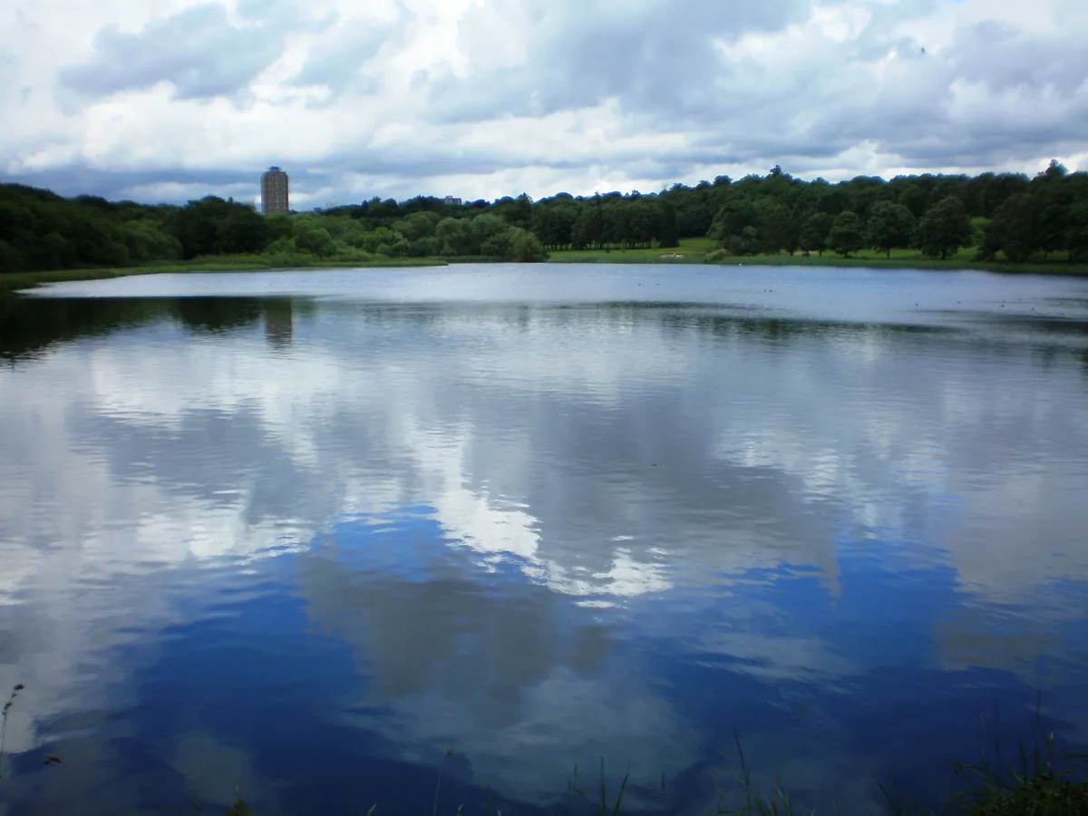 Edgbaston Pool