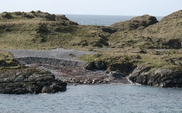 Eilean Mhic Coinnich