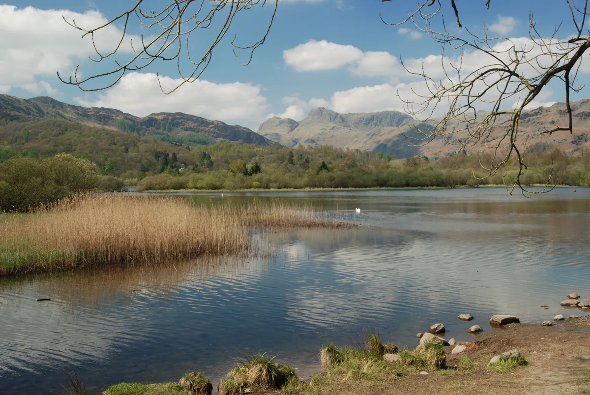 Elter Water