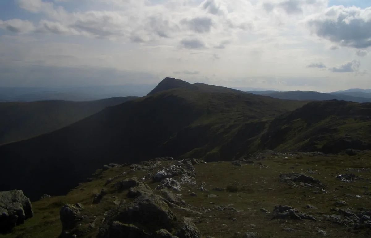 Erw Y Ddafad-Ddu