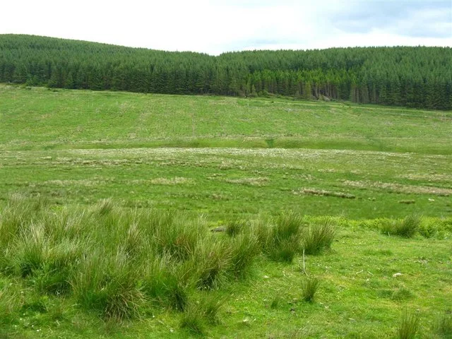 Eskdalemuir Forest