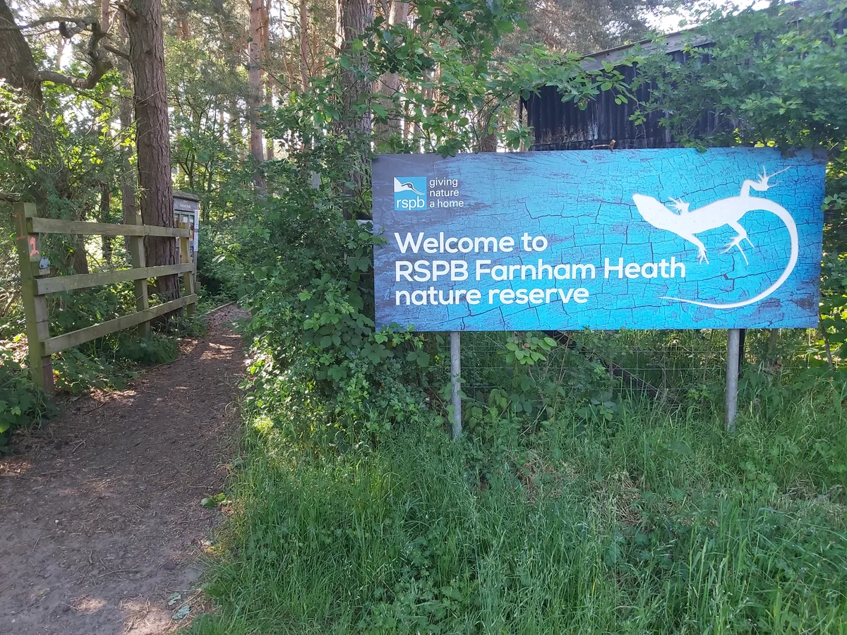 Farnham Heath