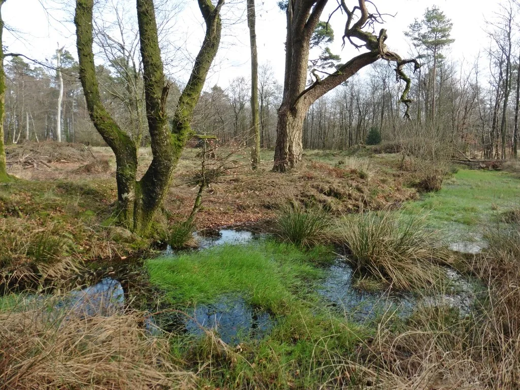 Farway Castle earthwork enclosure