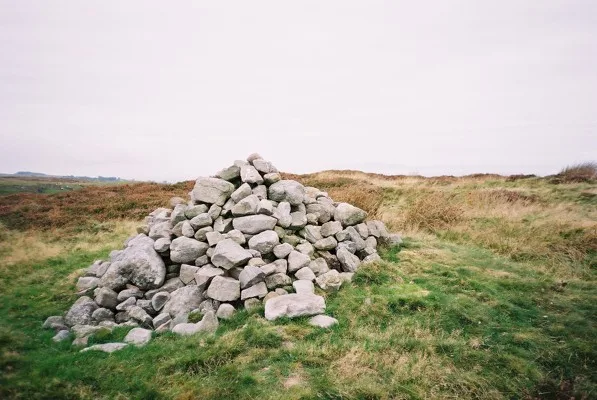 Faulds Brow
