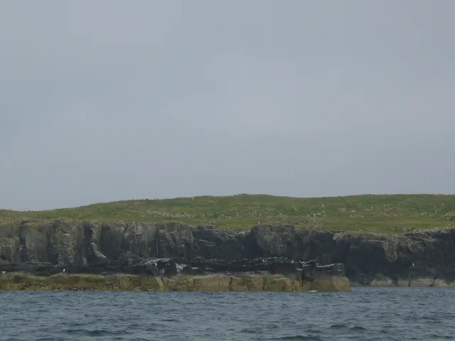 Fladda