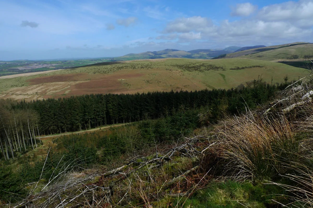Flat Fell