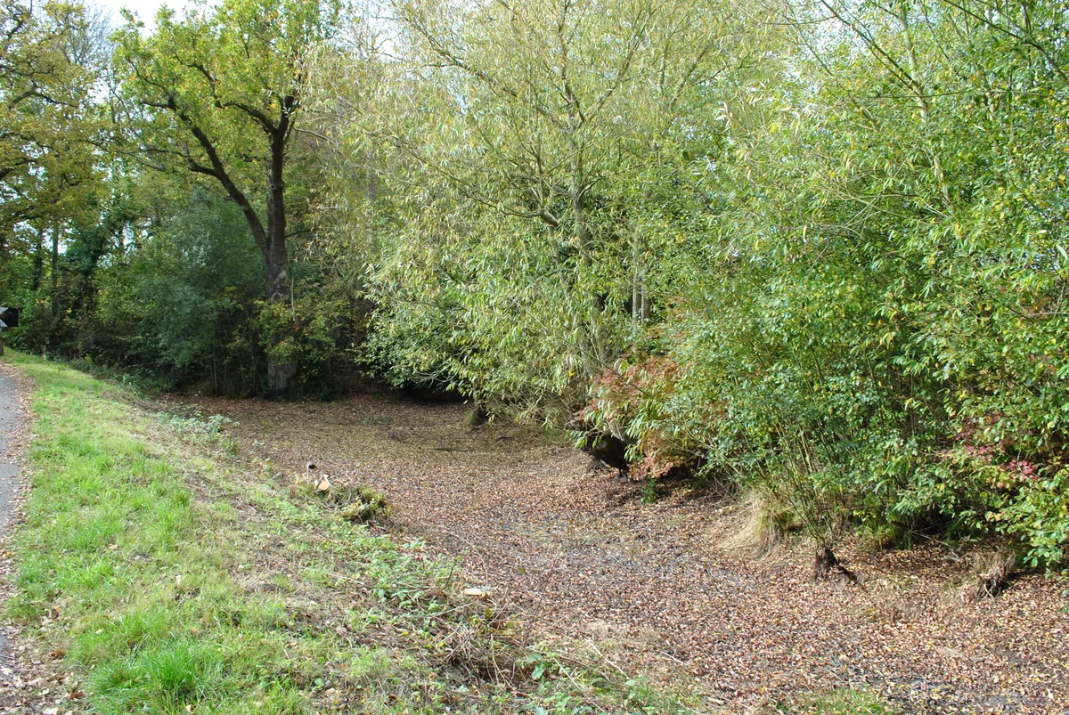 Flex Ditch