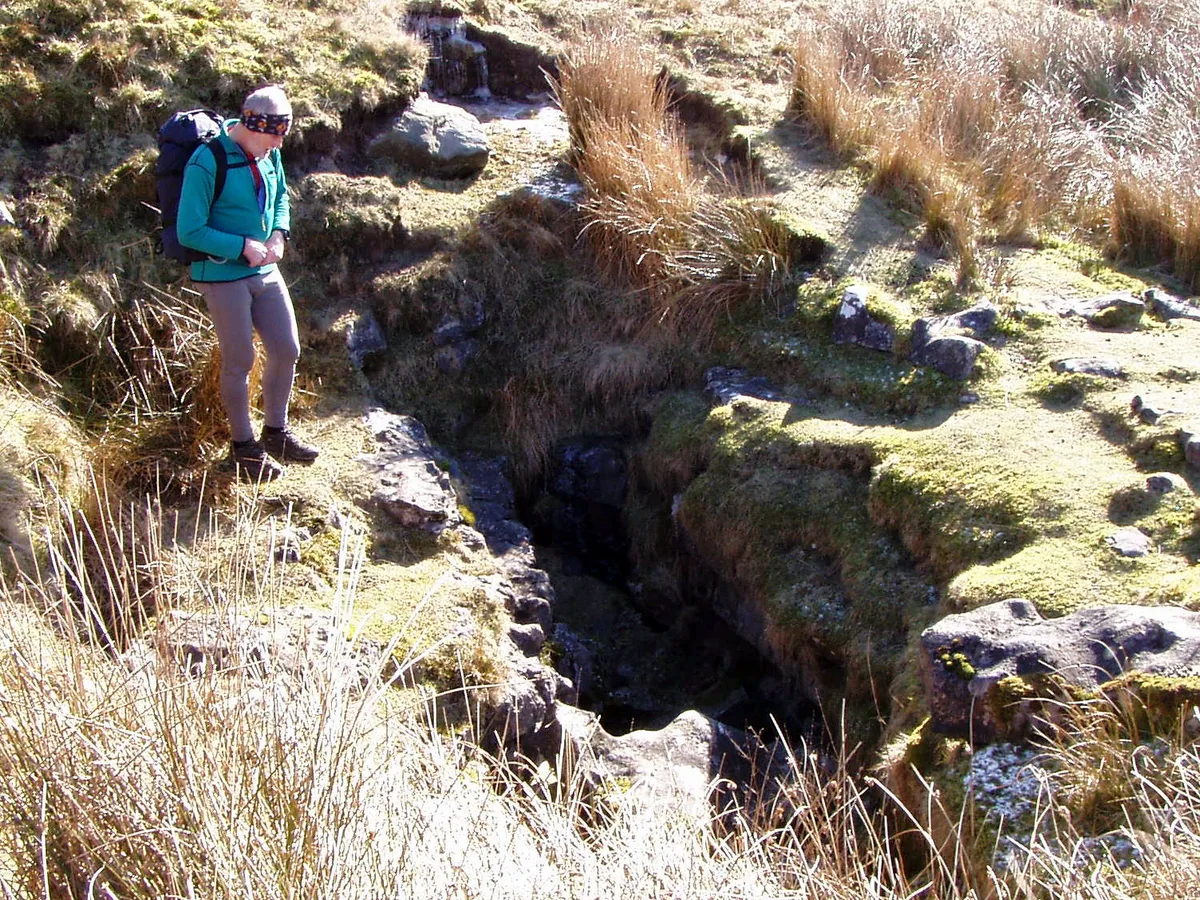 Flood Entrance Pot