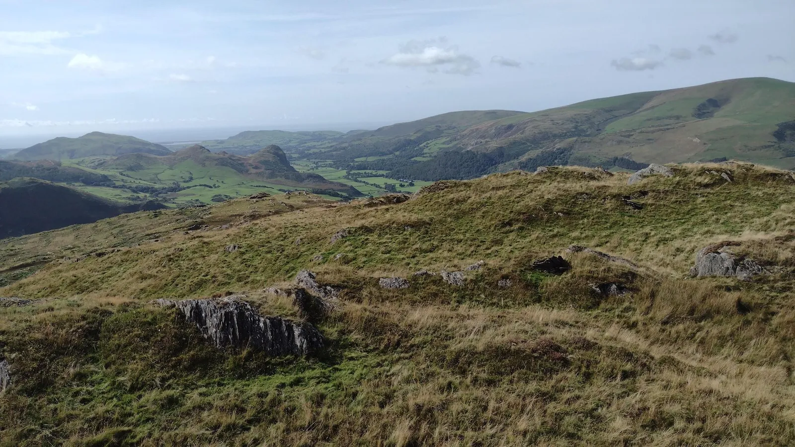 Foel Cae'rberllan — street-level view
