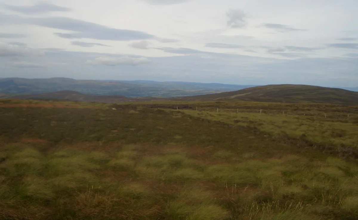Foel Cwm-Sian Llwyd