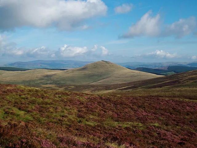 Foel Figenau
