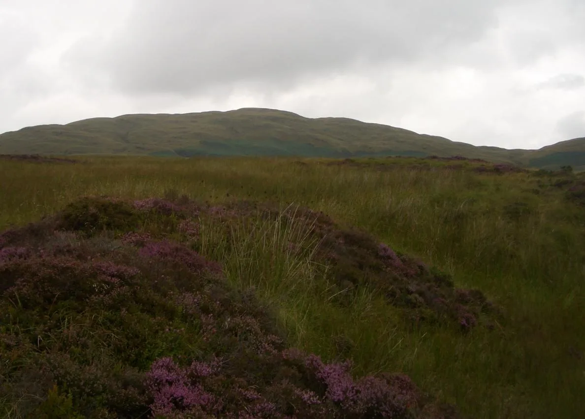 Foel Goch