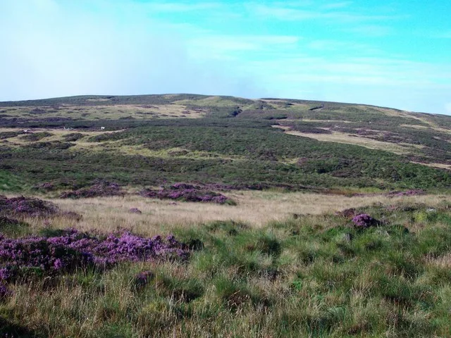 Foel Tyn-y-fron (Moel y Pawl)