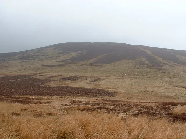 Foel Y Geifr