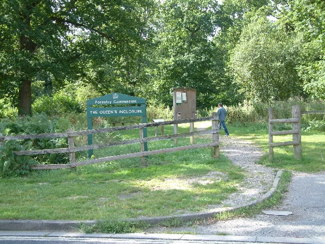 Forest of Bere