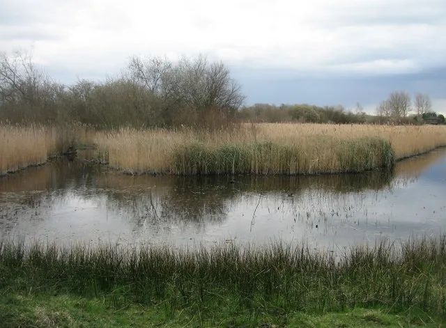 Fowlmere RSPB reserve