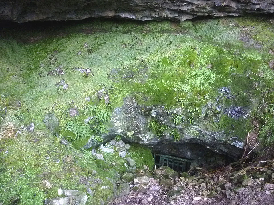 Fox Holes