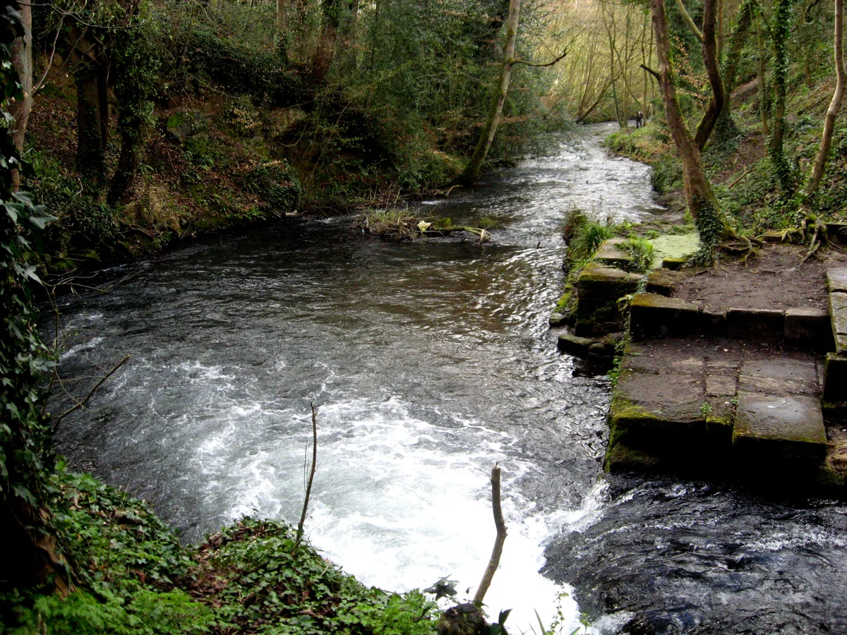 Frome Banks