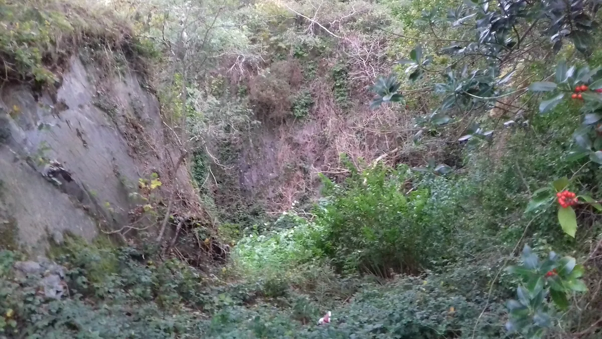 Frongoch quarry