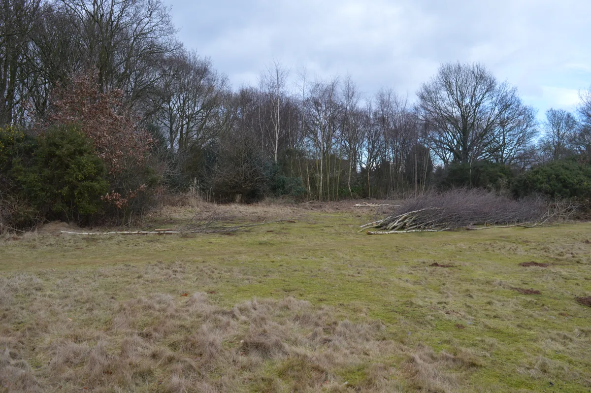 Gamlingay Cinques Common