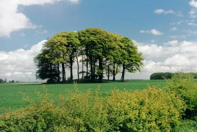 Garrowby Hill
