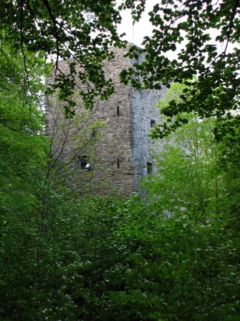 Garth Castle