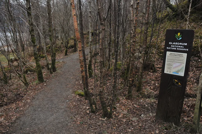 Glasdrum Wood National Nature Reserve